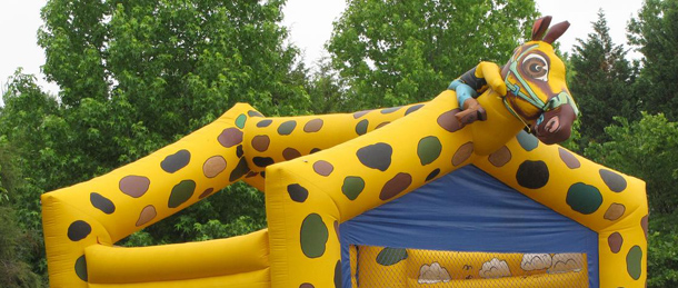 Inflatable Rides AK Tent Rental Pittsburgh