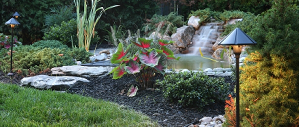 Lawn Care Flower Pots Nursery Pittsburgh