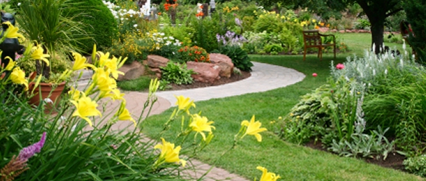 Lawn Care A and N Lawn Service Pittsburgh