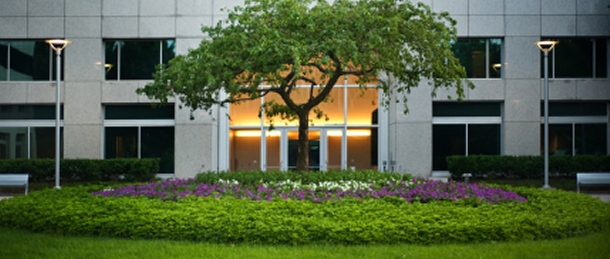 Lawn Care A and N Lawn Service Pittsburgh