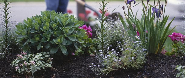 Lawn and Garden Flower Pots Nursery Pittsburgh