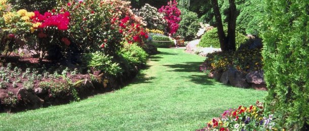 Lawn and Garden Flower Pots Nursery Pittsburgh