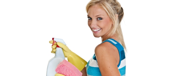 Maid Service Hadad Cleaning Services Pittsburgh Maid Service Hadad Cleaning Services Pittsburgh