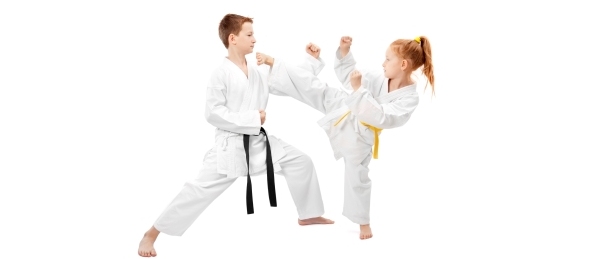Martial Arts PKA Karate Pittsburgh