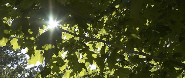 Nature Beinhauer Family Funeral Services Bethel Park