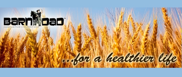  BarnDad's Fiber DX - Fiber Nutrition
