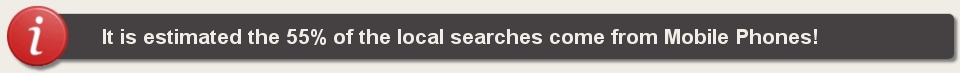 Mobile Phone Local Search Statistics