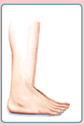 Advanced Foot and Surgery Center St. Petersburg Florida Logo