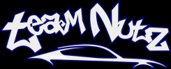 Team Nutz Car Accessories Pittsburgh Logo