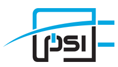 PSI Perfection Services Logo