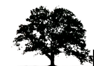 Pusateri Brothers Tree & Landscaping Service Logo